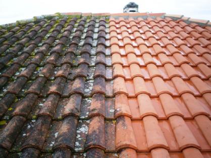 Entreprise de démoussage de toiture Pied-de-Borne